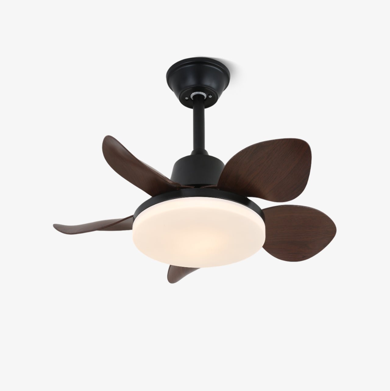 Moderne plafondventilator Veyra met lamp en 6 snelheden – diameter 71 cm – afstandsbediening