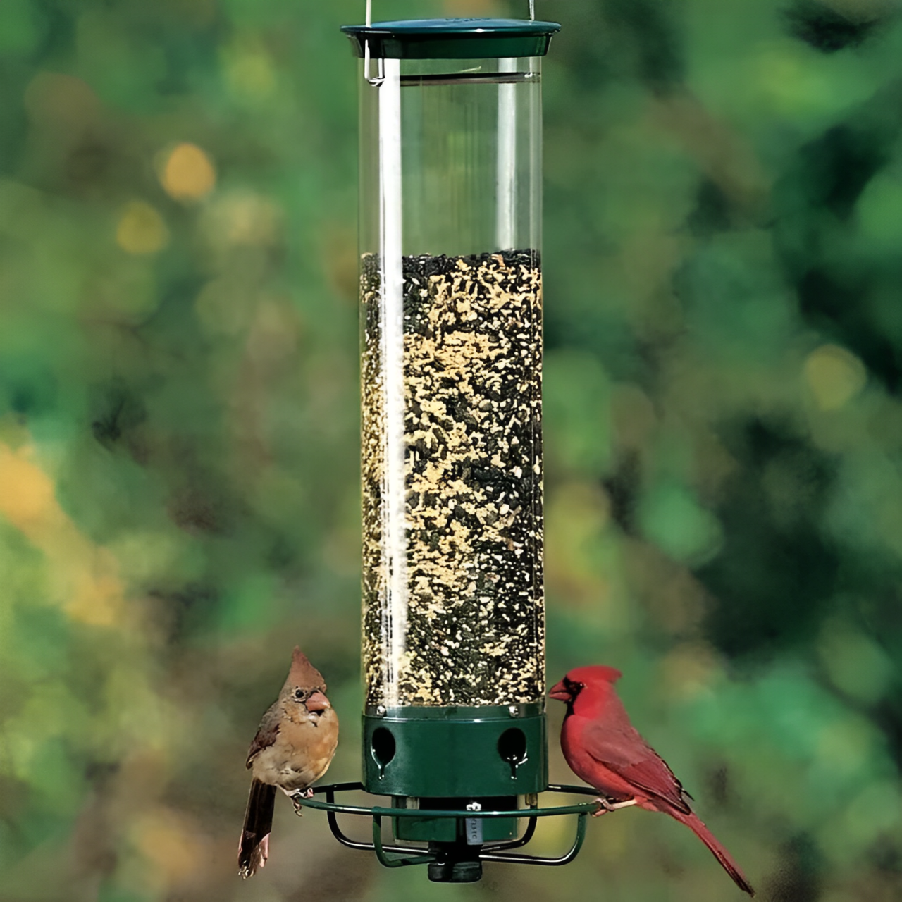 Vogelvoederstation met Anti-Eekhoornsysteem 2,3 kg Capaciteit