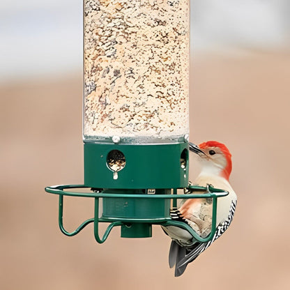 Vogelvoederstation met Anti-Eekhoornsysteem 2,3 kg Capaciteit