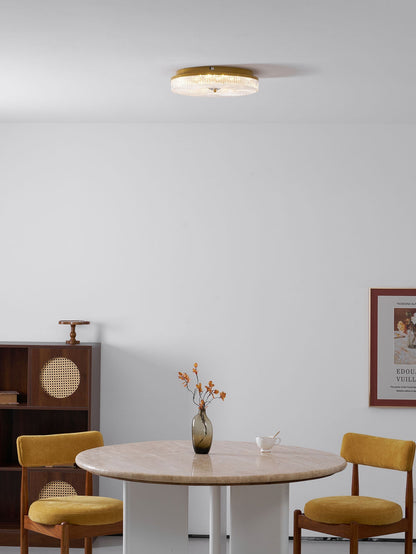 LED Plafondlamp Rond IJzer Acryl Dimbaar 3000K 4000K 6000K Zwart Wit Goud