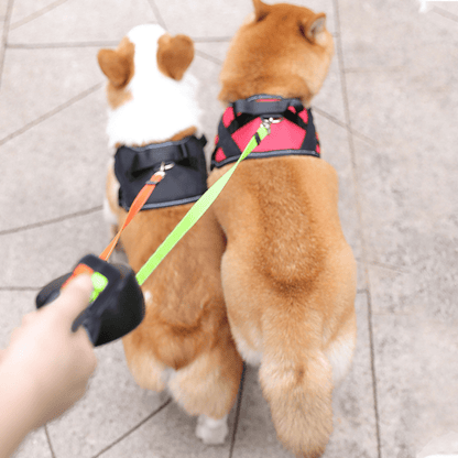 Dubbele Hondenriem Intrekbaar 4 Meter 2 Honden Tot 40kg | Duo Hondenriem Anti-ontwarring Zaklamp Reflecterend Wandelen