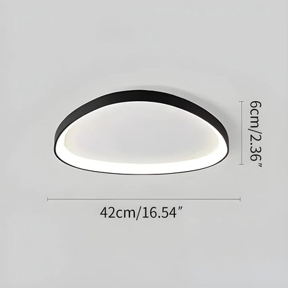 LED plafondlamp ovaal dimbaar metaal zwart wit slaapkamer hal woonkamer moderne plafondverlichting Scandinavisch design opbouwlamp