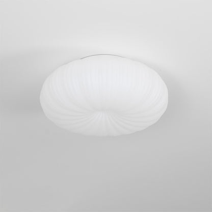 Robby Plafondlamp – Zachte Designverlichting met Dimbaar LED
