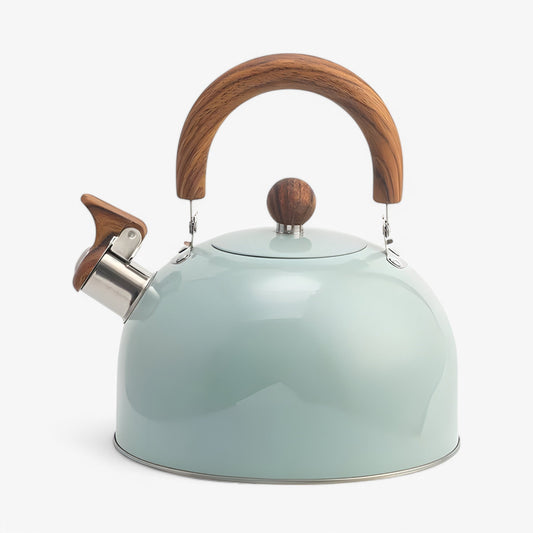 Fluitketel voor Inductie 2,5L – Elegante RVS Waterketel met Veilig Handvat