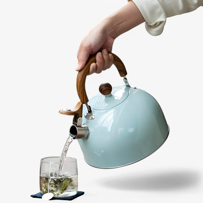 Fluitketel voor Inductie 2,5L – Elegante RVS Waterketel met Veilig Handvat