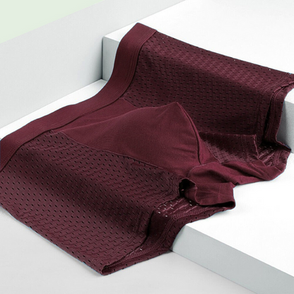 Bamboe Boxershorts Heren 10-Pack Zacht Ademend Naadloos Comfort Dagelijks Gebruik