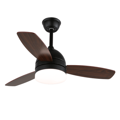 Minimalistische Plafondventilator met Verlichting — Selena
