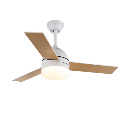 Minimalistische Plafondventilator met Verlichting — Selena