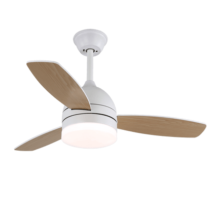Minimalistische Plafondventilator met Verlichting — Selena