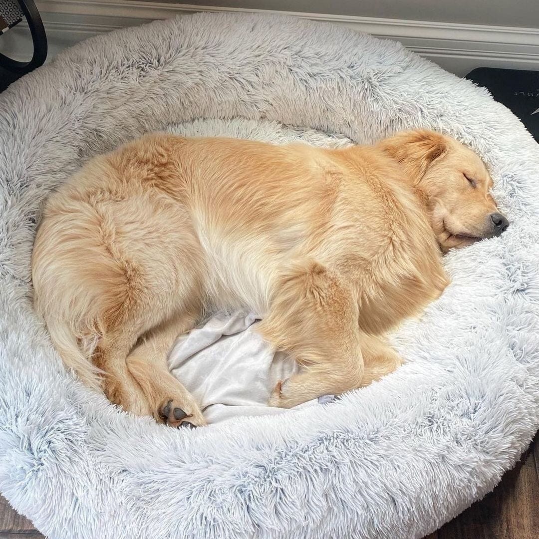 Huisdiermand Pluche Rond met Verhoogde Rand Grijs Bruin Roze voor Honden en Katten 40-120 cm Wasbaar Rustgevend Ontwerp