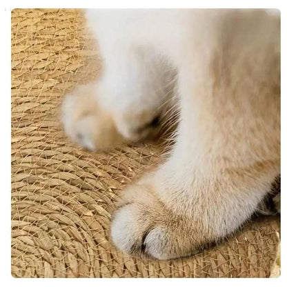 Kattenmand Riet Afneembaar Kussen S/M/L Kattenbed Gevlochten Naturel Huisdier Slaapplek Kat Hond
