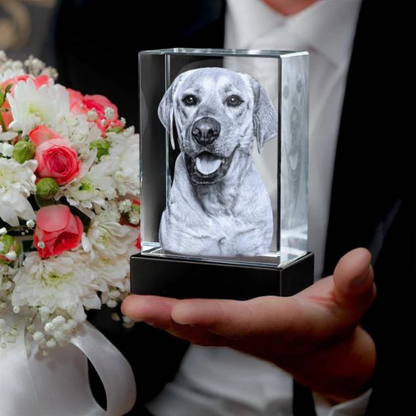 Gepersonaliseerd 2D/3D Kristal Gedenkkristal met Eigen Foto – Verlicht Herinneringsblok met Houten Voet