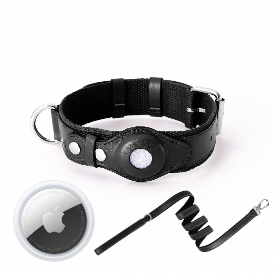 GPS-hondenhalsband met wereldwijde tracking zonder abonnement voor veilige wandelingen en volledige controle over je hond