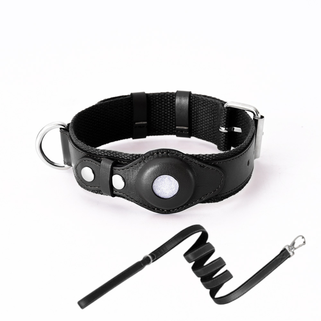 GPS-hondenhalsband met wereldwijde tracking zonder abonnement voor veilige wandelingen en volledige controle over je hond