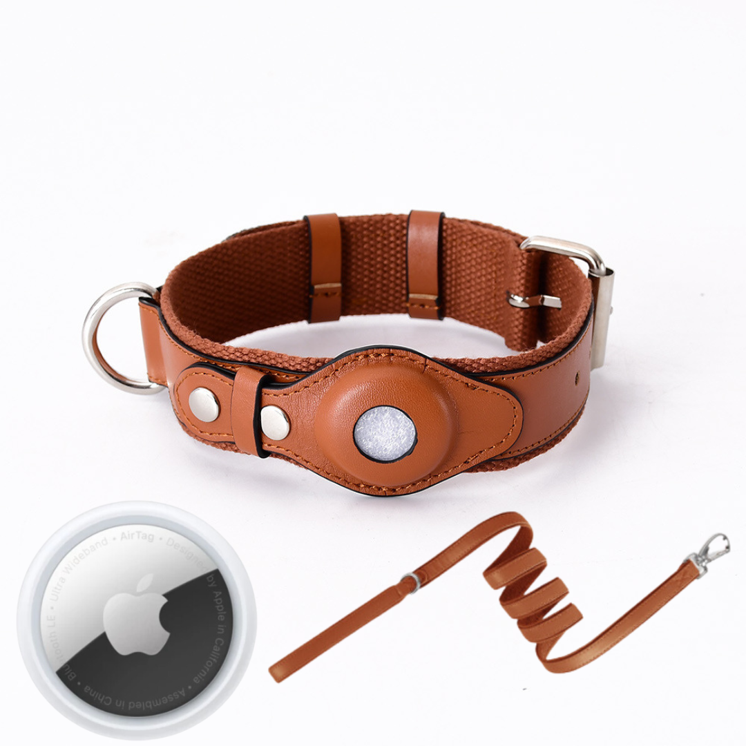 GPS-hondenhalsband met wereldwijde tracking zonder abonnement voor veilige wandelingen en volledige controle over je hond