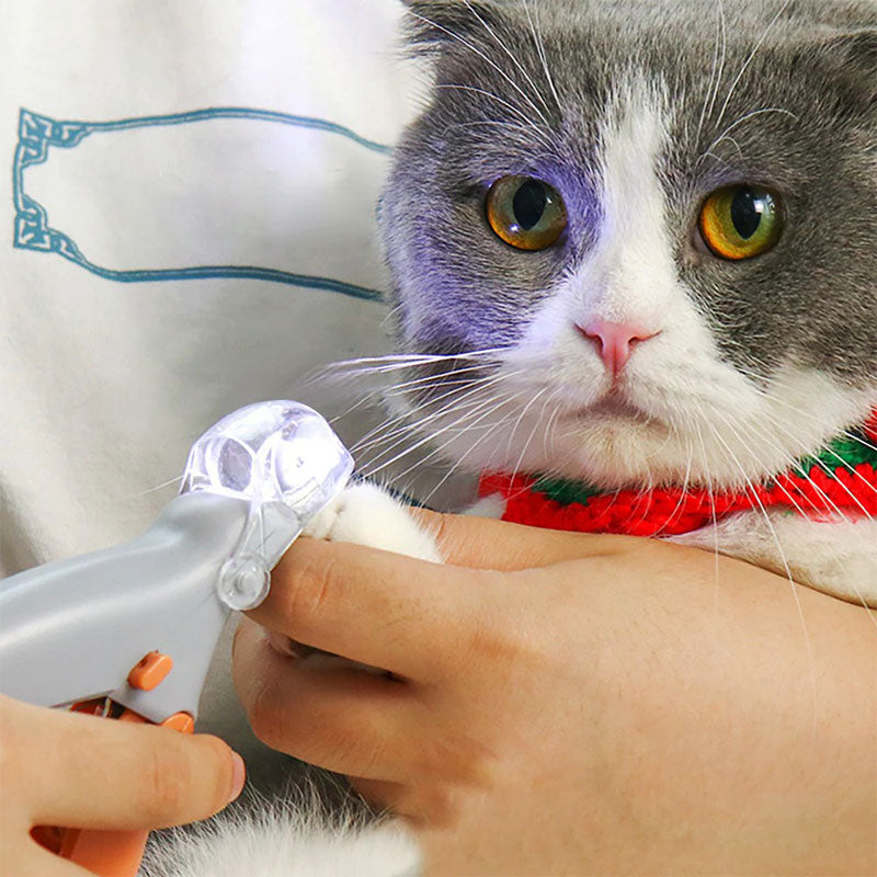 Nagelknipper voor Honden met Geïntegreerde Sensorbeveiliging | Premium RVS Nageltrimmer met Ergonomisch Handvat | Pijnloos Klauwverzorging voor Grote en Kleine Honden | Veilige Nagelschaar Huisdieren