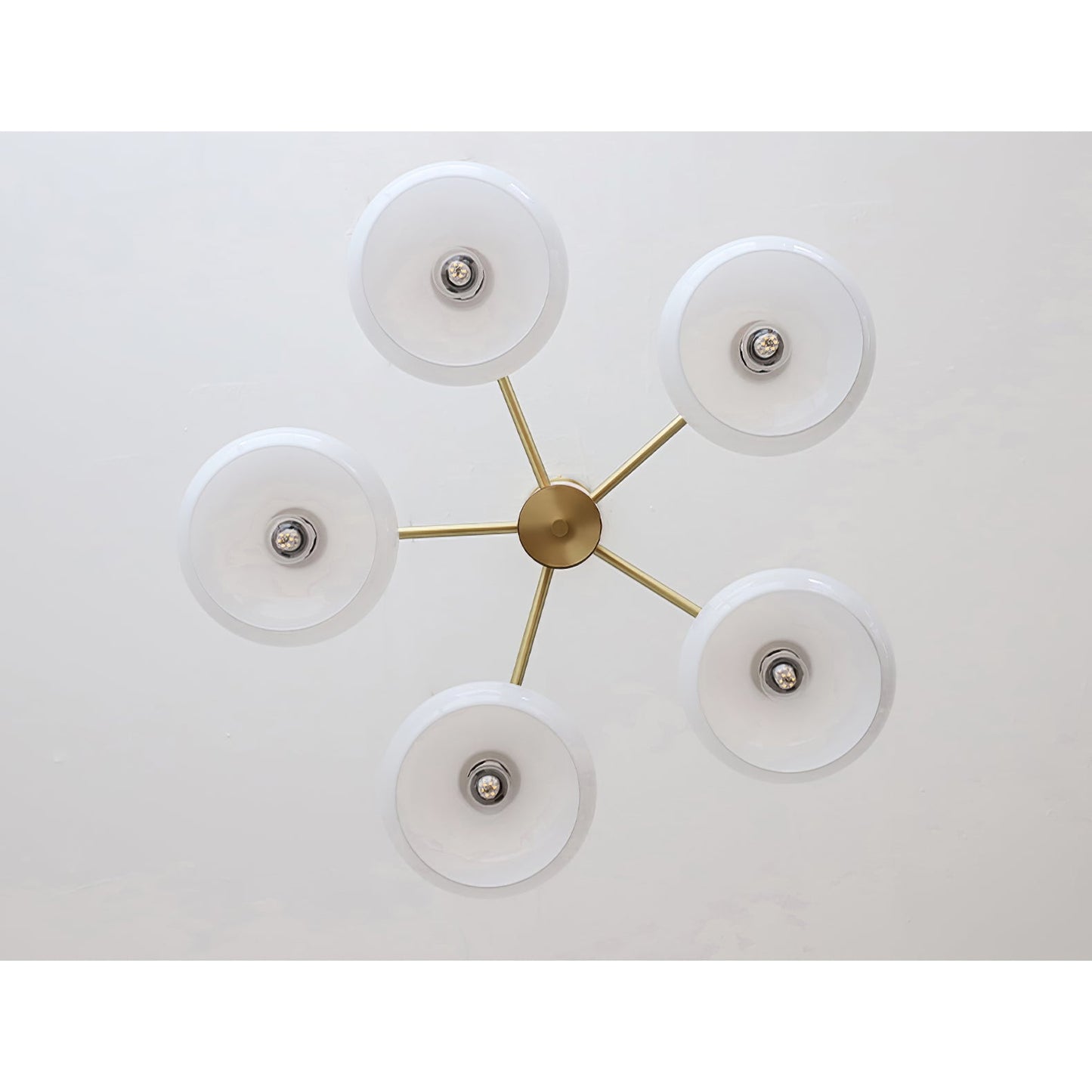 Ovale Design Kroonluchter Met Glazen Kappen En Messing Details Voor Woonkamer En Eetkamer