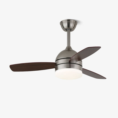 Moderne Plafondventilator Caelan met Verlichting | 101cm | 24W LED | 6 Snelheden | Afstandsbediening | Scandinavisch Design