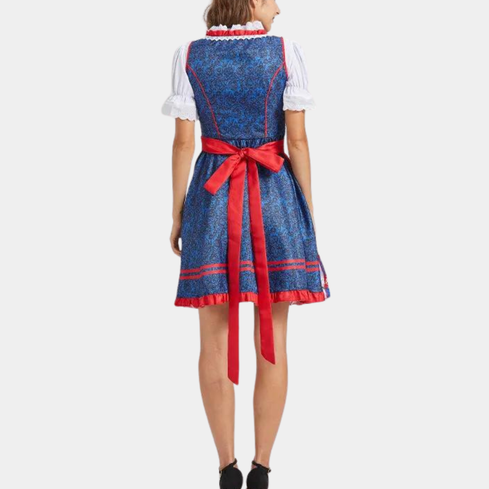 Traditionele Dirndl Jurk Rok Roos Duits Design