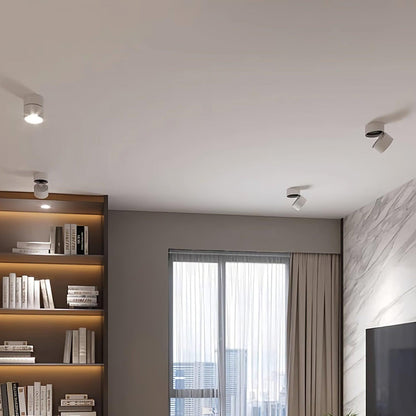 Verstelbare LED Plafondspot in Modern Scandinavisch Design – Warm Wit 3000K