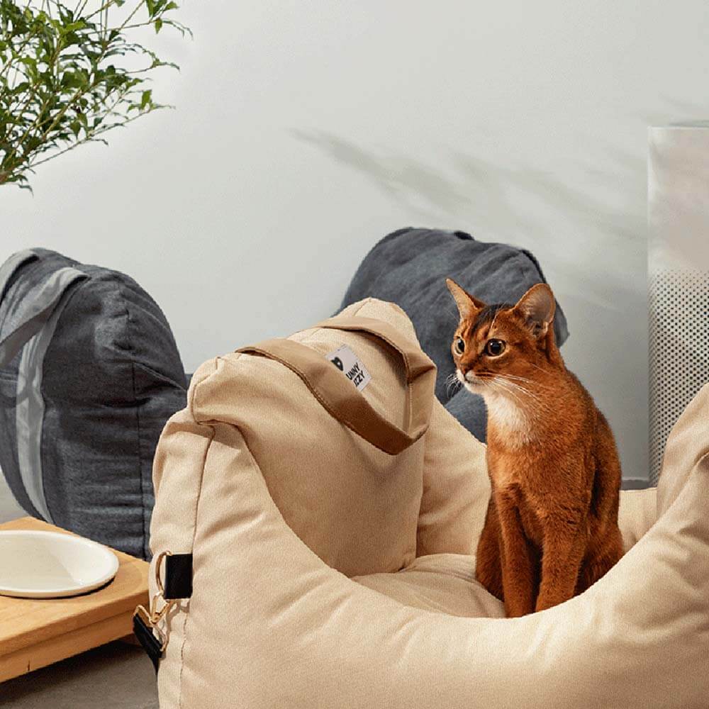 Autostoel Hondenmand First Class - Comfortabel Reiskussen voor Hond of Kat - Verstelbaar Wasbaar Autoreizen