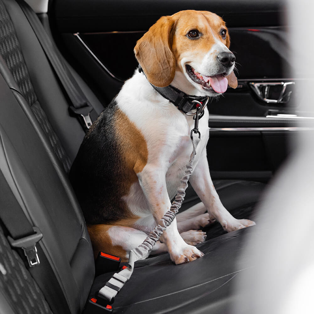 Autogordel Buffer Verstelbaar Hondenhalsband Tuigje Veiligheid Auto Reizen Reflecterend Huisdier Hond