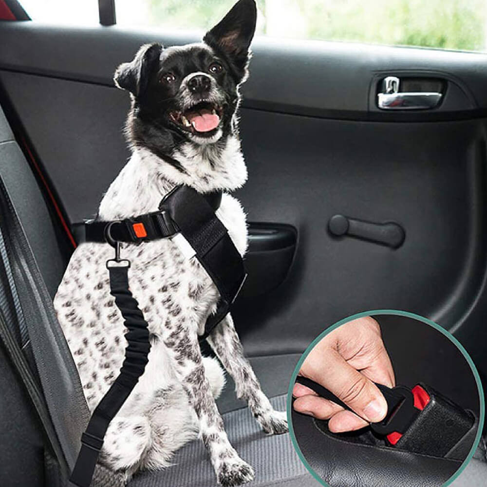Autogordel Buffer Verstelbaar Hondenhalsband Tuigje Veiligheid Auto Reizen Reflecterend Huisdier Hond