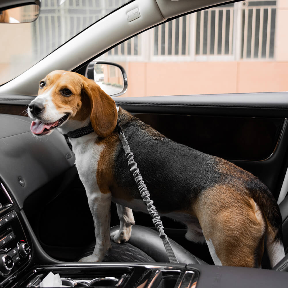 Autogordel Buffer Verstelbaar Hondenhalsband Tuigje Veiligheid Auto Reizen Reflecterend Huisdier Hond