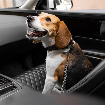 Autogordel Buffer Verstelbaar Hondenhalsband Tuigje Veiligheid Auto Reizen Reflecterend Huisdier Hond