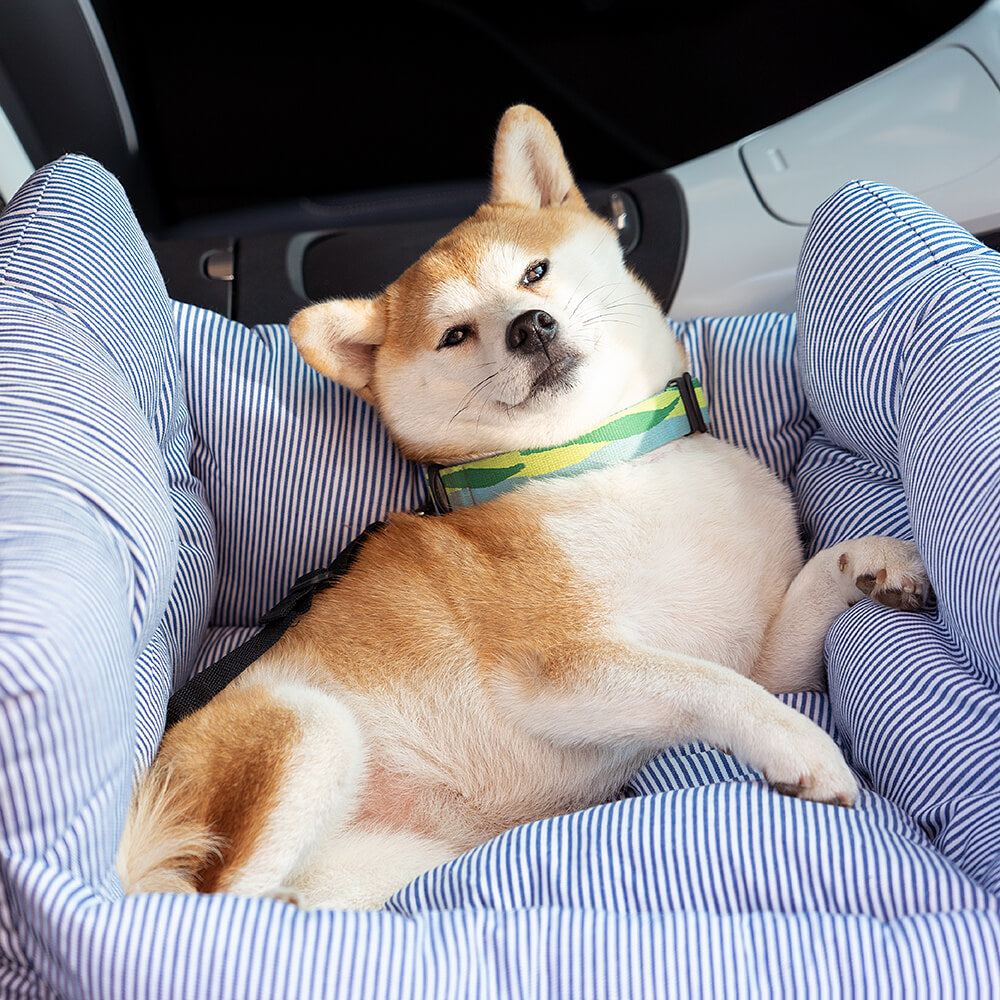 Hondenautostoel Draagbaar Reisbed Comfortabel Bolster Veilige Zetel voor Kleine Honden Katten Huisdieren