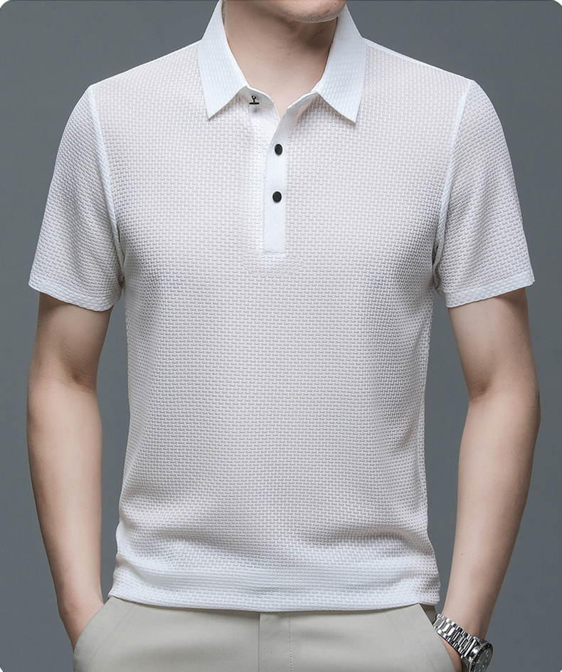 Mannen Polo Shirt Klassiek Ademend Casual