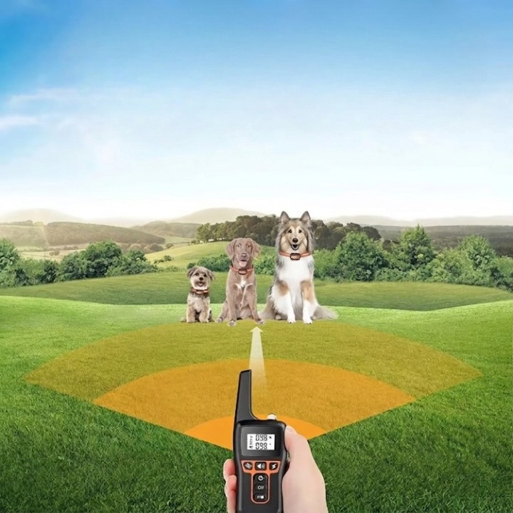 Trainingshalsband voor Honden met Afstandsbediening 1000m Bereik Oplaadbaar Waterdicht IP67 Verstelbaar 20-65cm Trillingen Geluid Stimulatie 9 Intensiteitsniveaus Geschikt 5-50kg