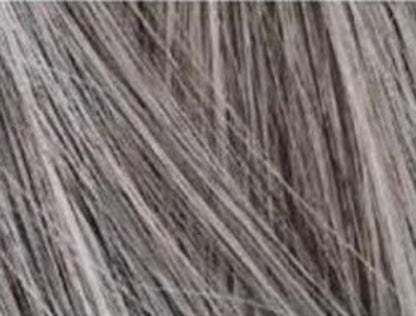 Haarvezel Poeder voor Voller Haar – Kamouflageert Dun Haar en Kale Plekken Direct – Natuurlijk Volume