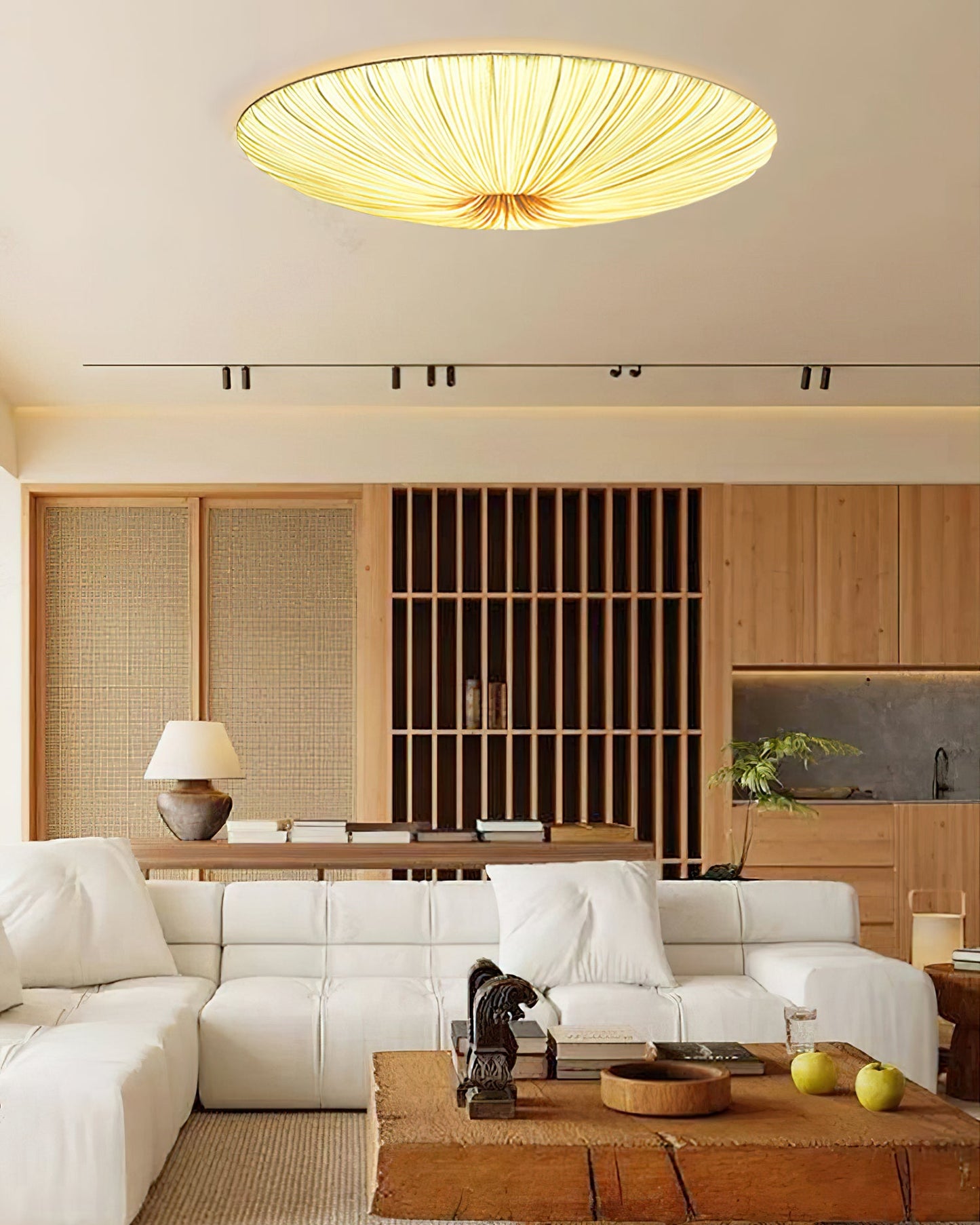 Tassel Plafondlamp Kwastjesdetail Beige Stof IJzer Warm Diffuus Licht Moderne Flush Mount Eetkamer Slaapkamer Entree