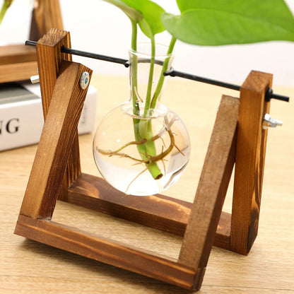 Plantenpropagator Standaard Hout & Glas Stekhouder Vintage Stijl voor Kamerplanten