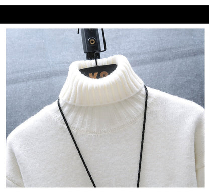 Mannen Trui Turtleneck Warm Modern Dik Breiwerk - StudioMarella