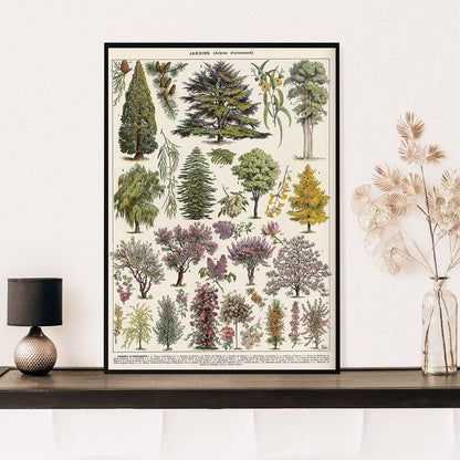 Vintage Botanische Prints Canvas Collectie – Klassieke Plantentekeningen Wanddecoratie