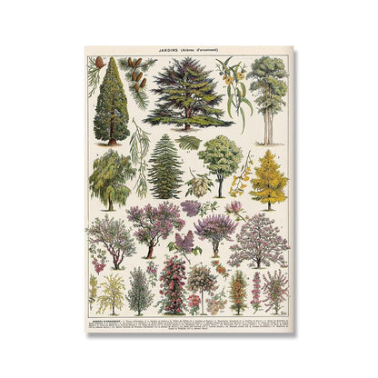 Vintage Botanische Prints Canvas Collectie – Klassieke Plantentekeningen Wanddecoratie