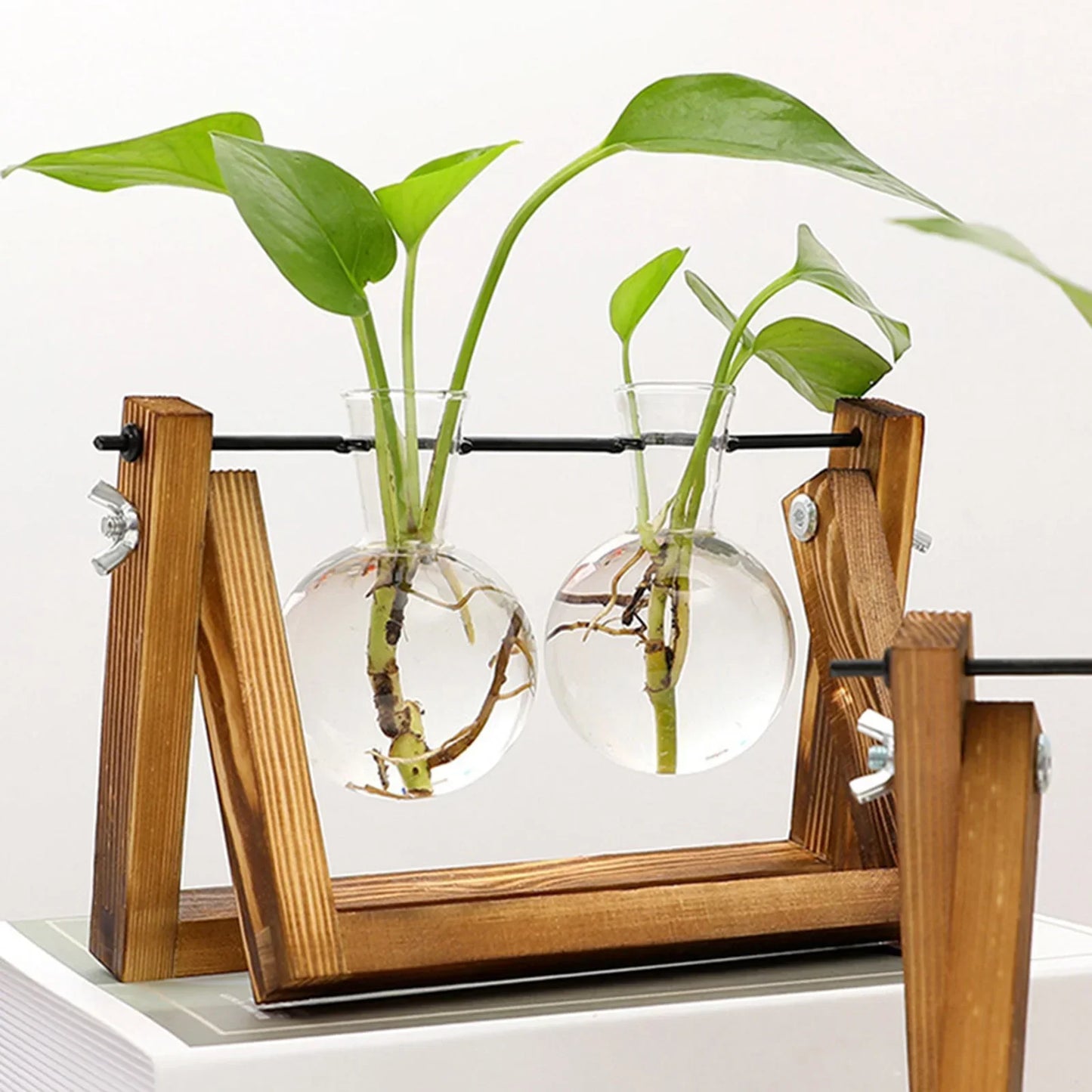 Houten Stekjesstandaard voor Plantenstekjes met Glazen Buisjes | Vintage Decoratie voor Tafel