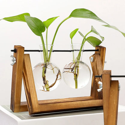Houten Stekjesstandaard voor Plantenstekjes met Glazen Buisjes | Vintage Decoratie voor Tafel