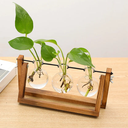 Plantenpropagator Standaard Hout & Glas Stekhouder Vintage Stijl voor Kamerplanten