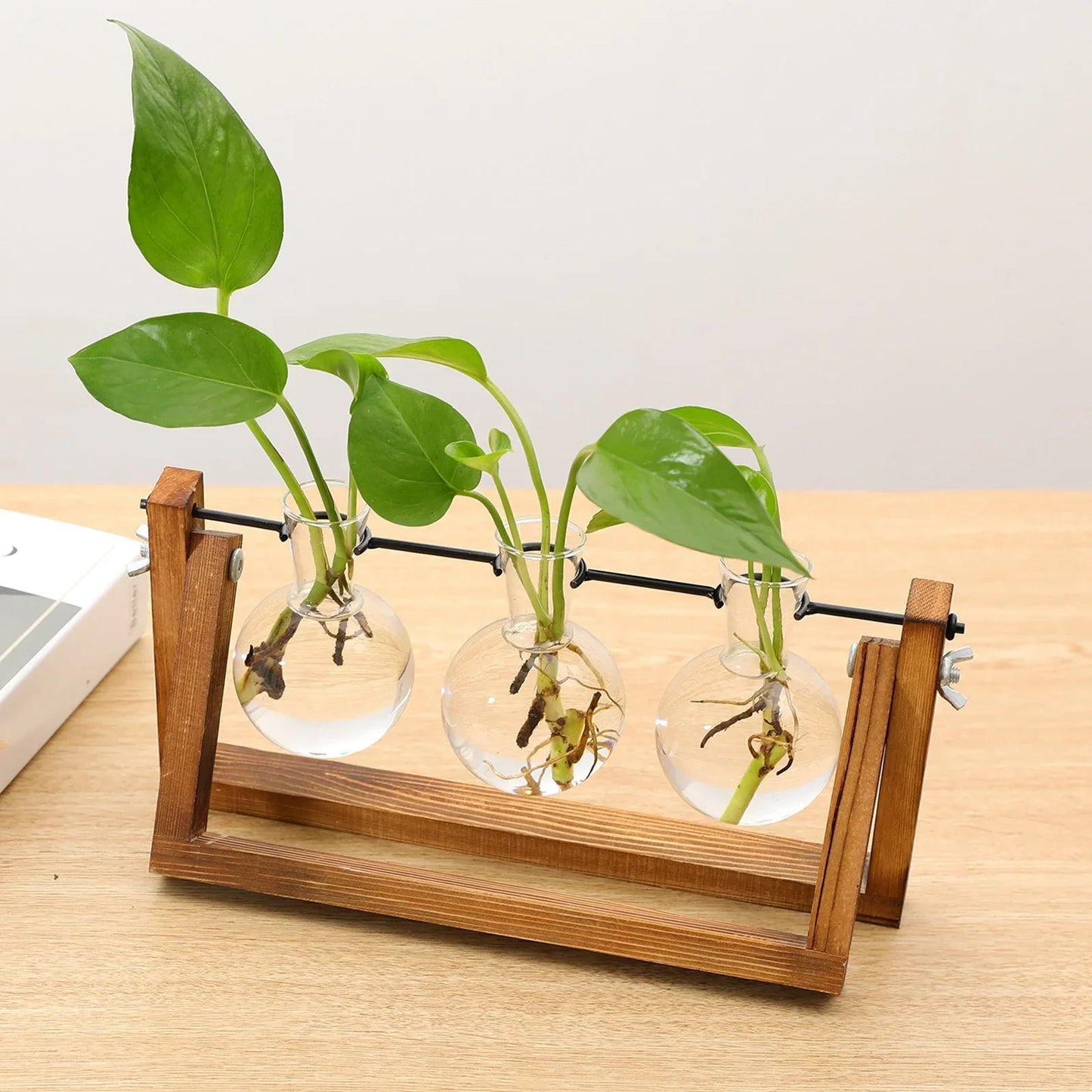 Houten Stekjesstandaard voor Plantenstekjes met Glazen Buisjes | Vintage Decoratie voor Tafel