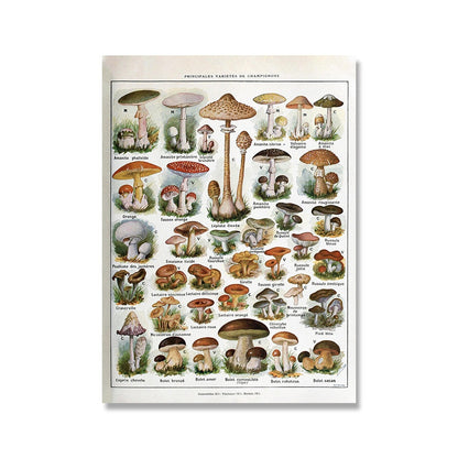 Vintage Botanische Prints Canvas Collectie – Klassieke Plantentekeningen Wanddecoratie