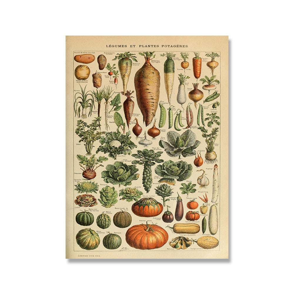 Vintage Botanische Prints Canvas Collectie – Klassieke Plantentekeningen Wanddecoratie