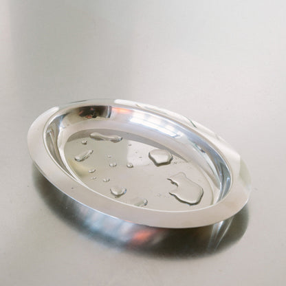 Serveerschaal Ovaal Roestvrij Staal Gepolijst Zilver Dienblad Tafel Diner Luxe