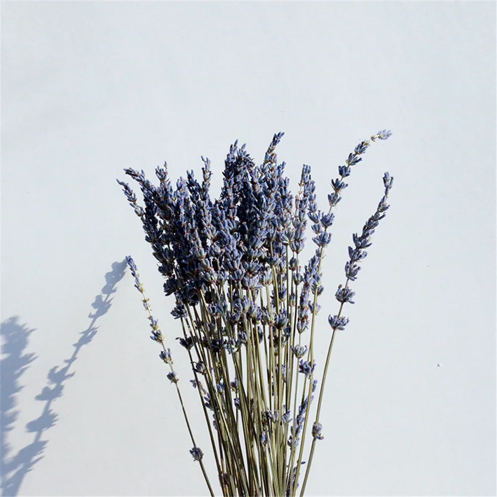 Gedroogde Lavendelbundel Natuurlijk 40cm Geurig Decoratief Paars Boeket voor Interieur en Aromatherapie