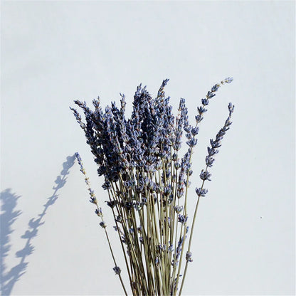 Gedroogde Lavendelbundel Natuurlijk 40cm Geurig Decoratief Paars Boeket voor Interieur en Aromatherapie