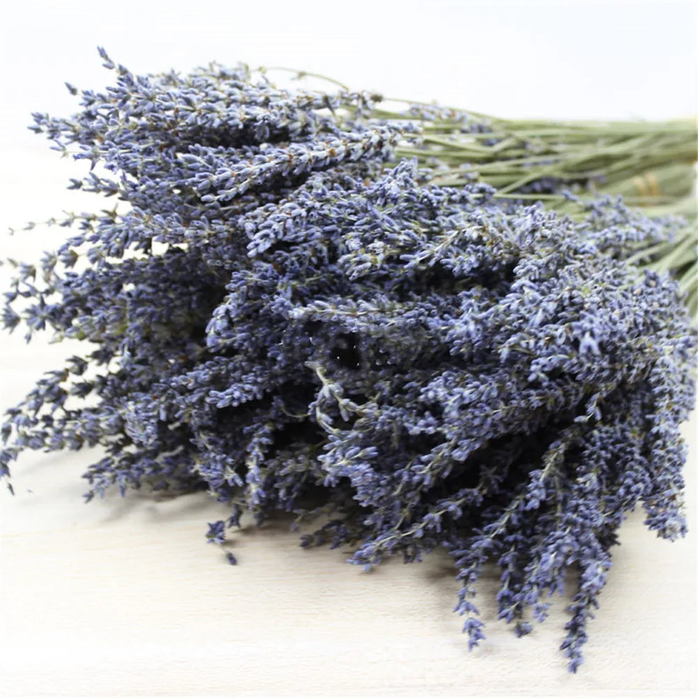 Gedroogde Lavendelbundel Natuurlijk 40cm Geurig Decoratief Paars Boeket voor Interieur en Aromatherapie