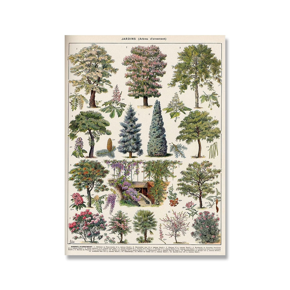 Vintage Botanische Prints Canvas Collectie – Klassieke Plantentekeningen Wanddecoratie