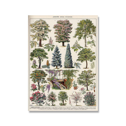 Vintage Botanische Prints Canvas Collectie – Klassieke Plantentekeningen Wanddecoratie